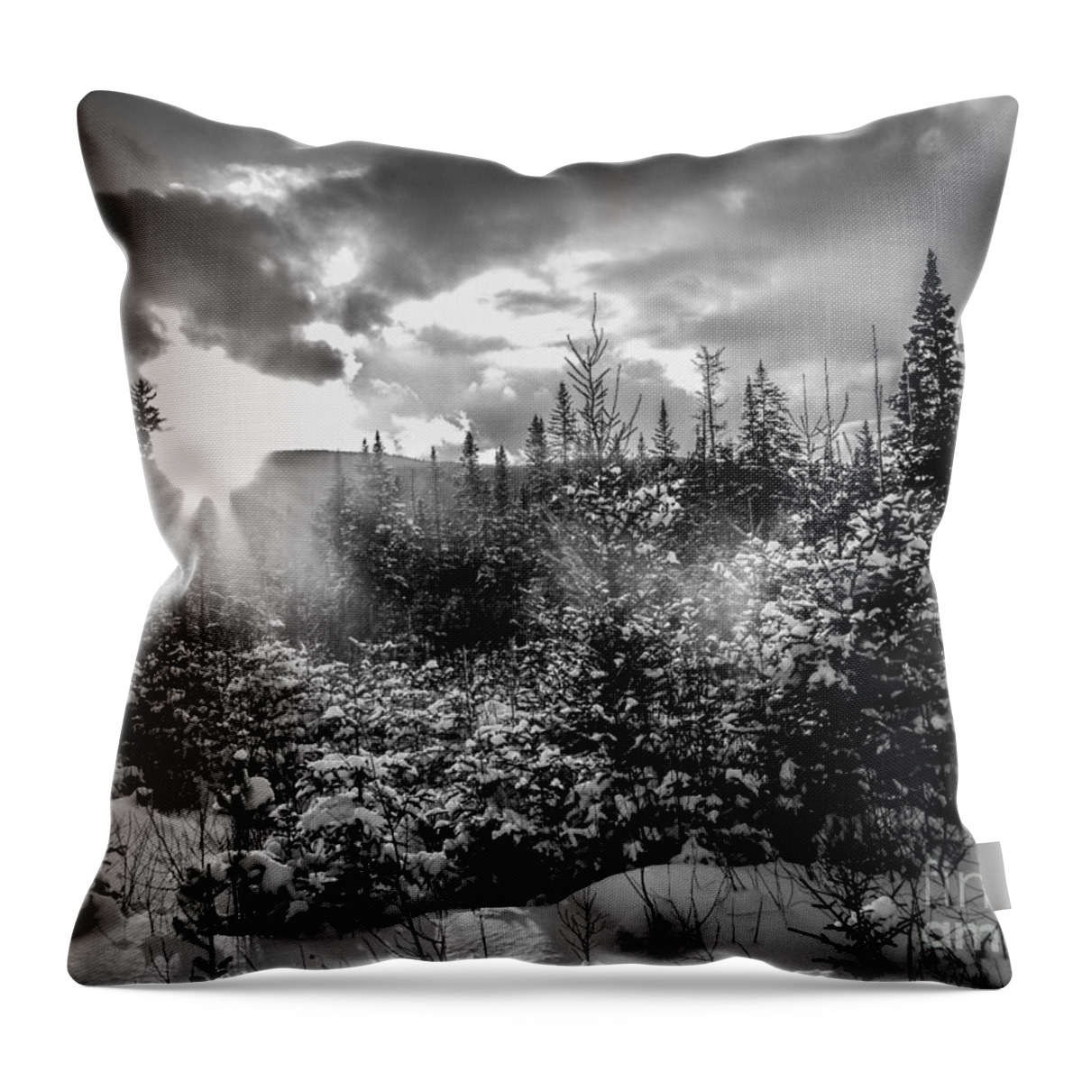 Winter Throw Pillow featuring the photograph Winter Sunset by David Rucker