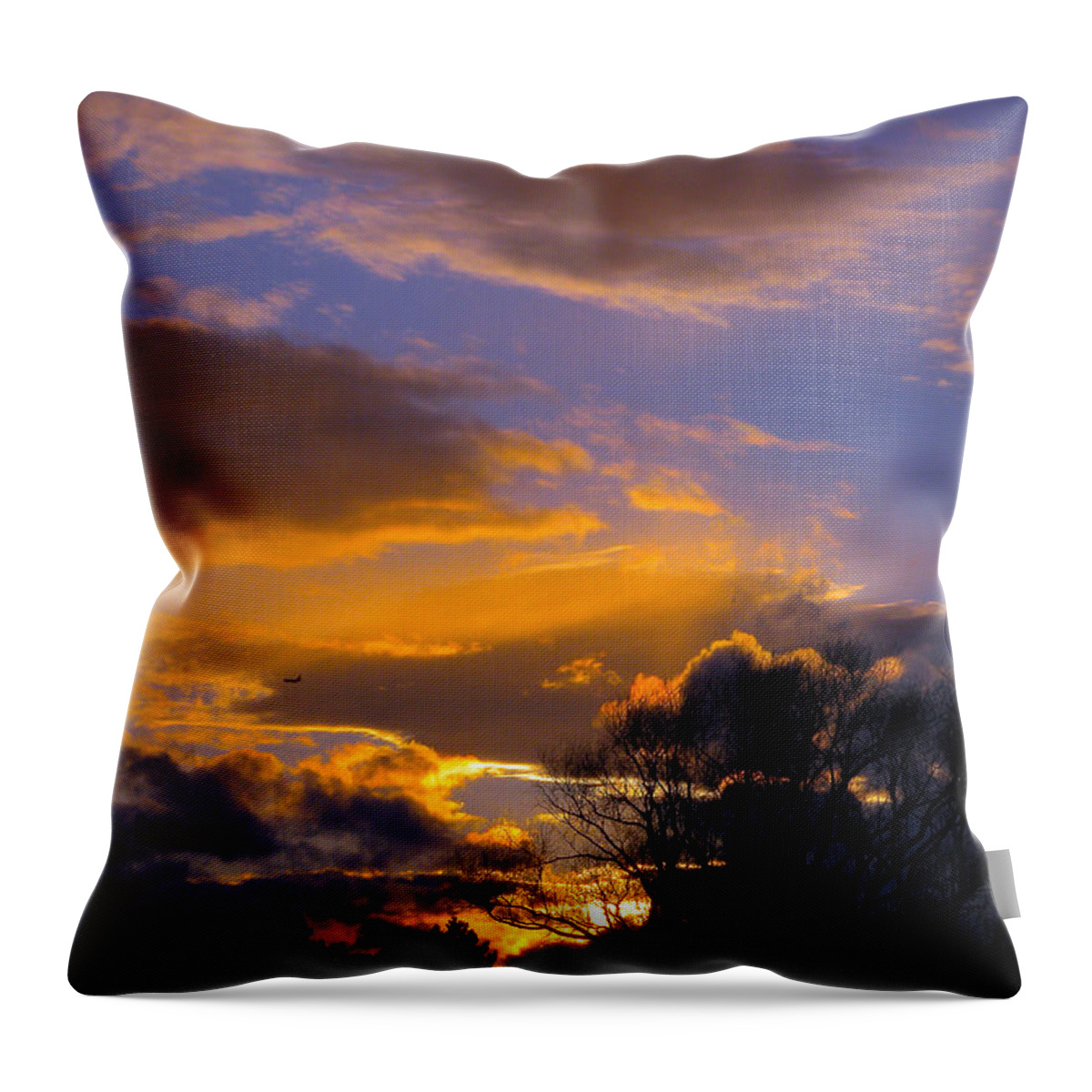 Sunset Throw Pillow featuring the photograph Winter Sunset by Dragan Kudjerski