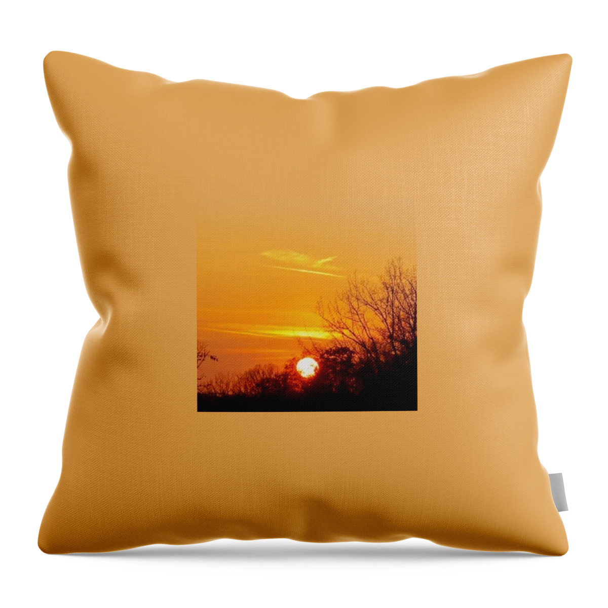 Trees Throw Pillow featuring the photograph Winter Sunset  by Justin Connor