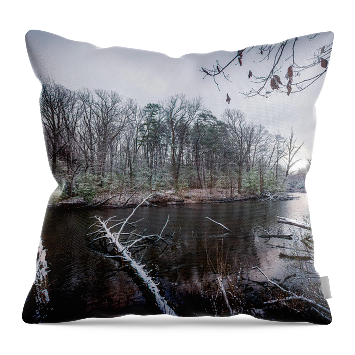 Swans Throw Pillow featuring the photograph Winter Swans by Patrick Wolf