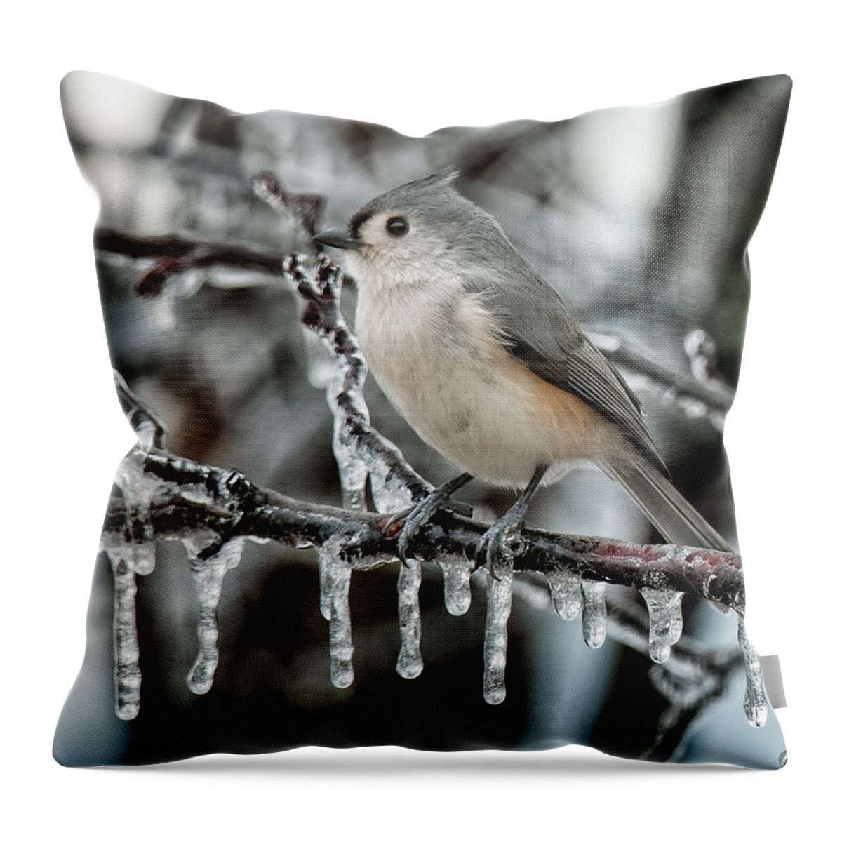 Tufted Titmouse Throw Pillow featuring the photograph Winter Titmouse by Lara Ellis