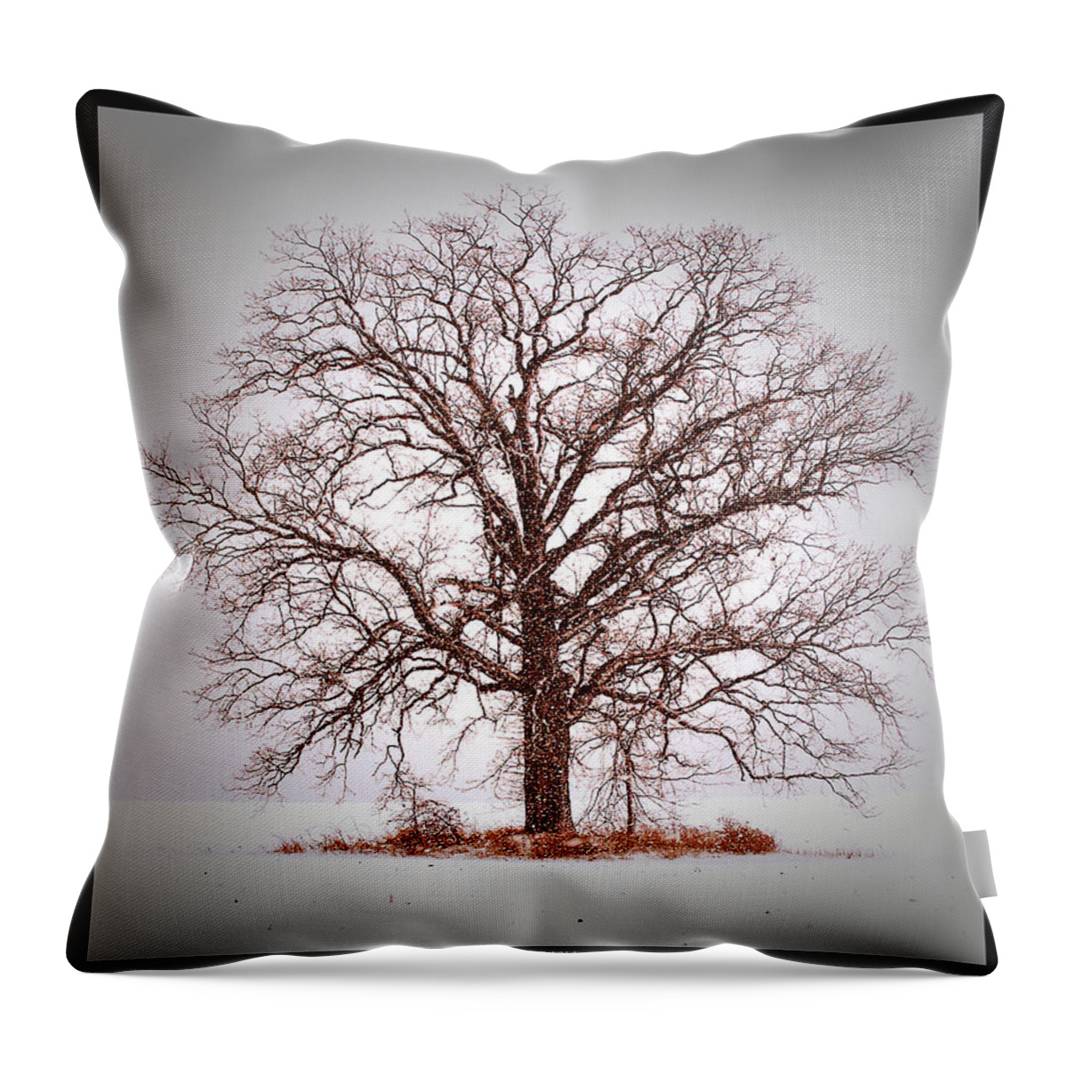 Tree Throw Pillow featuring the photograph Winter Tree 8x10 crop with white bars by Gene Tatroe