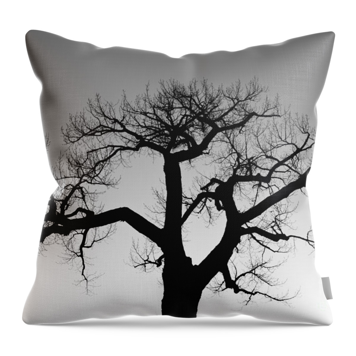 Tree Throw Pillow featuring the photograph Winter Tree Silhouette BW by James BO Insogna