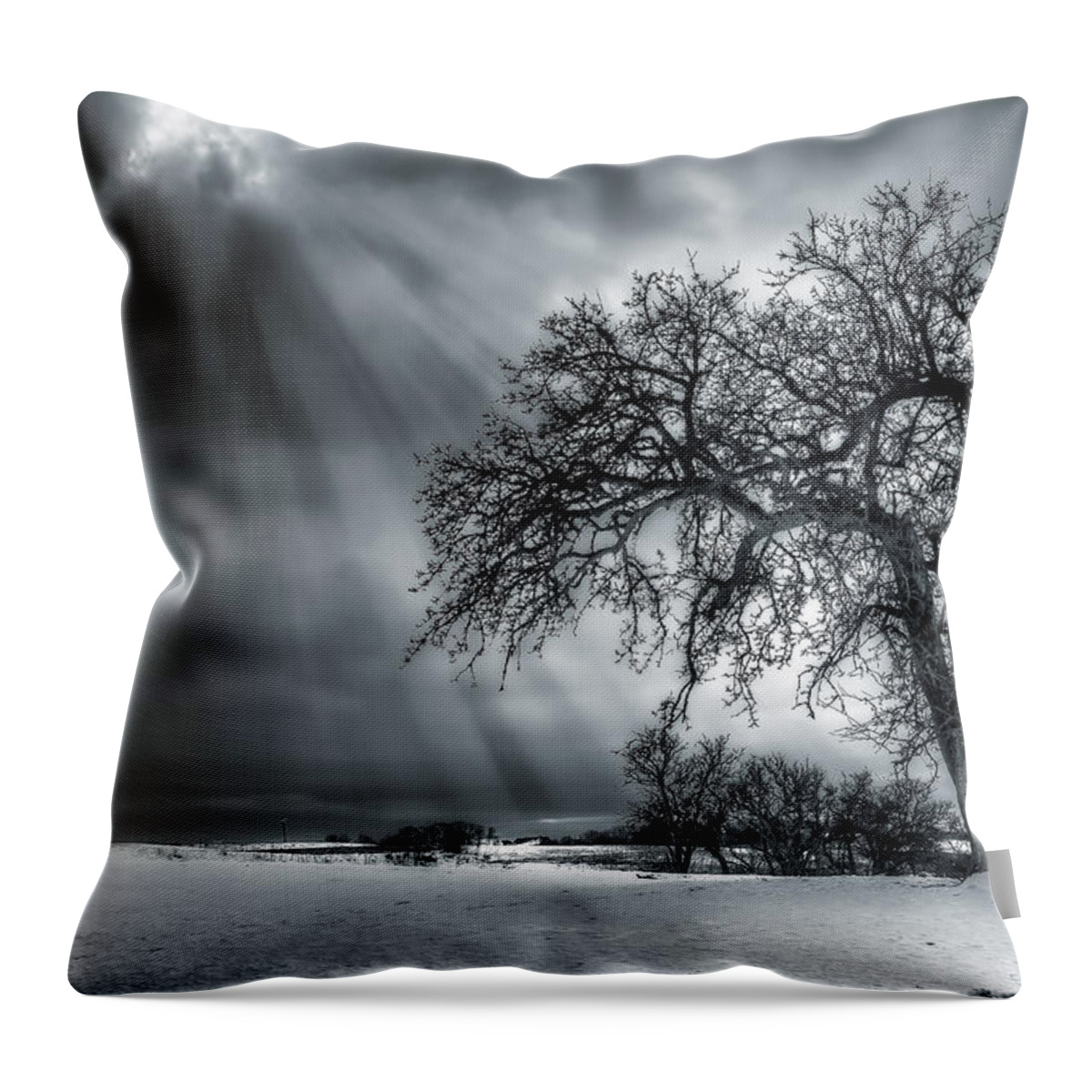Winter Throw Pillow featuring the photograph Winter Tree by EXparte SE