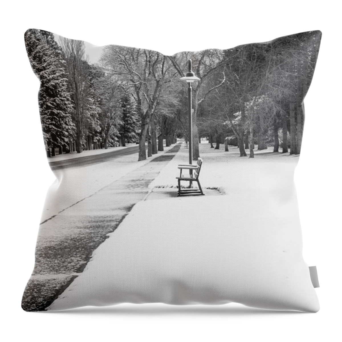 Sidewalk Throw Pillow featuring the photograph Winter Walk by Fran Riley