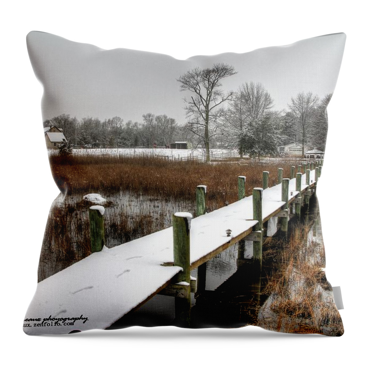 Dock Throw Pillow featuring the photograph Winter Walkway by John Loreaux