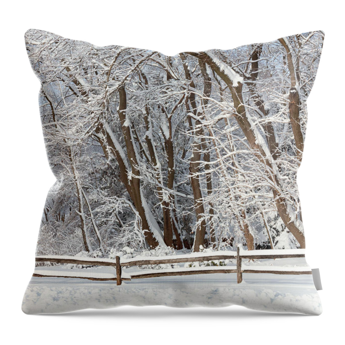Snow Throw Pillow featuring the photograph Winter - Westfield NJ - Snow Day by Mike Savad