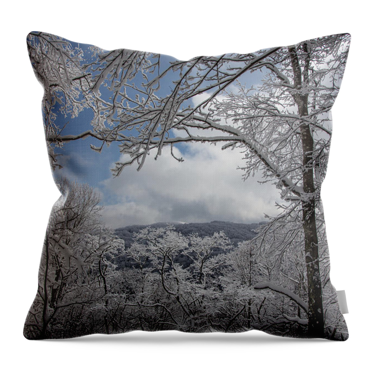 Tree Throw Pillow featuring the photograph Winter Window Wonder by John Haldane