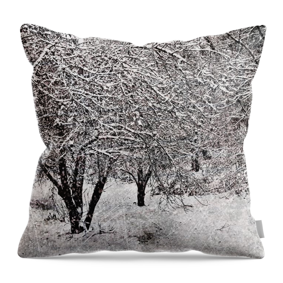 Winter Throw Pillow featuring the digital art Winter Wonder 3 by Maria Huntley