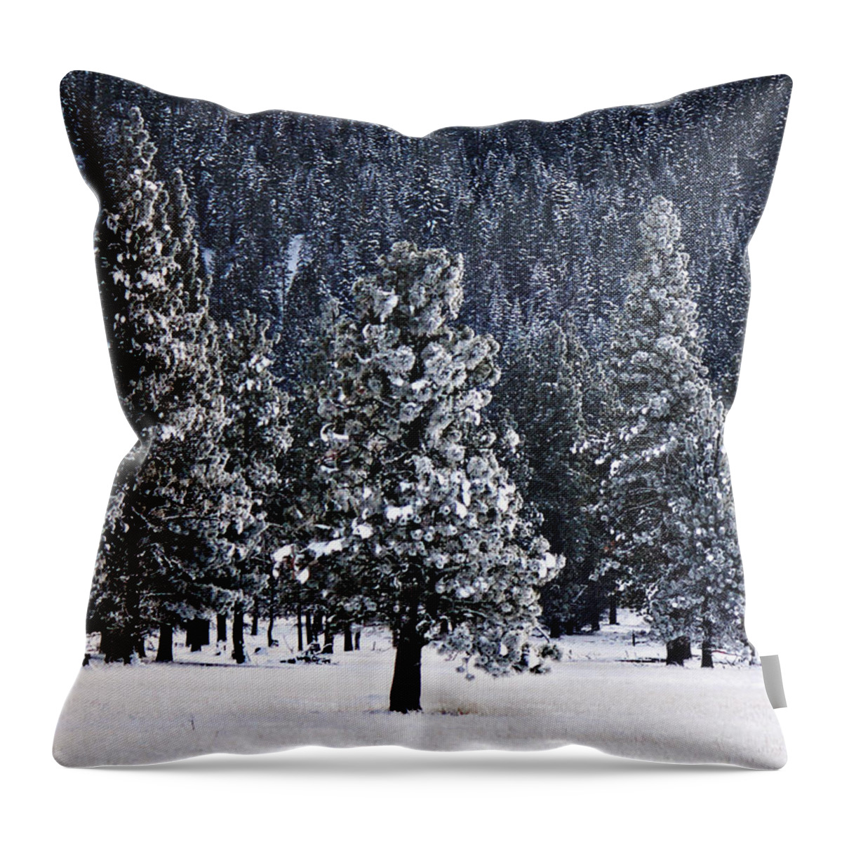 Canon Throw Pillow featuring the photograph Winter Wonderland by Melanie Lankford Photography