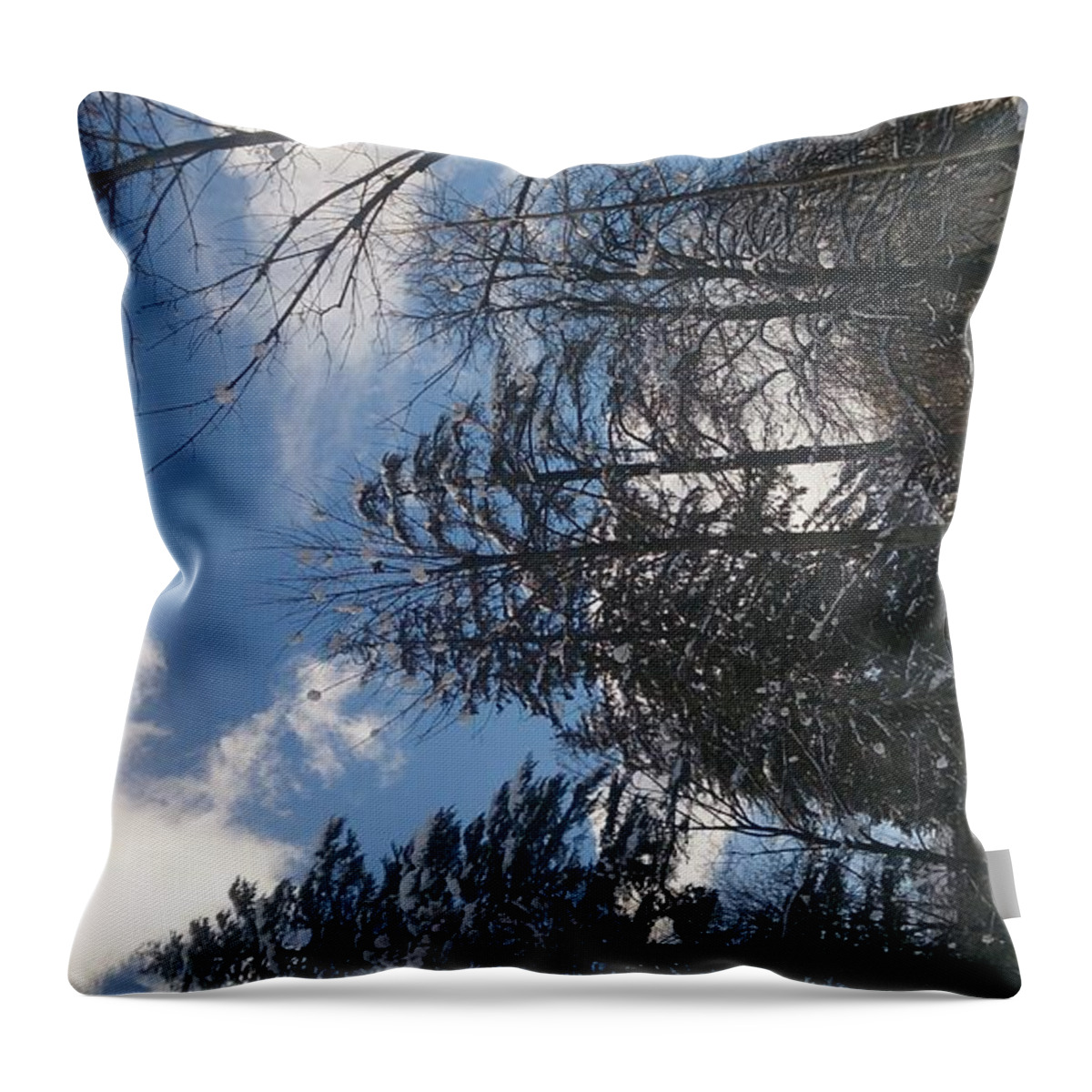 Landscape Throw Pillow featuring the photograph Winter Wonderland by Moshe Harboun