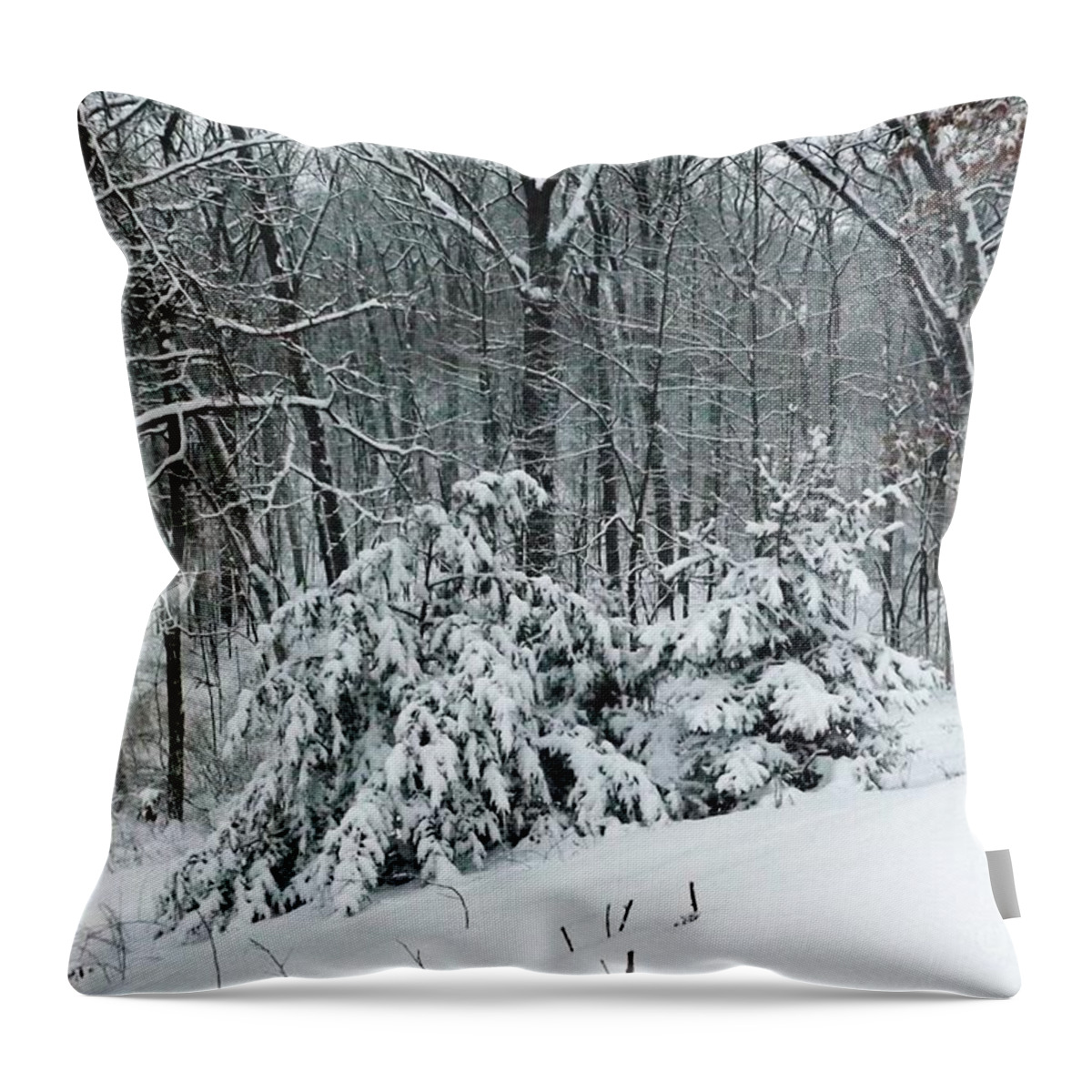 Winter Woods Throw Pillow featuring the photograph Winter Woods by Gerald Strine