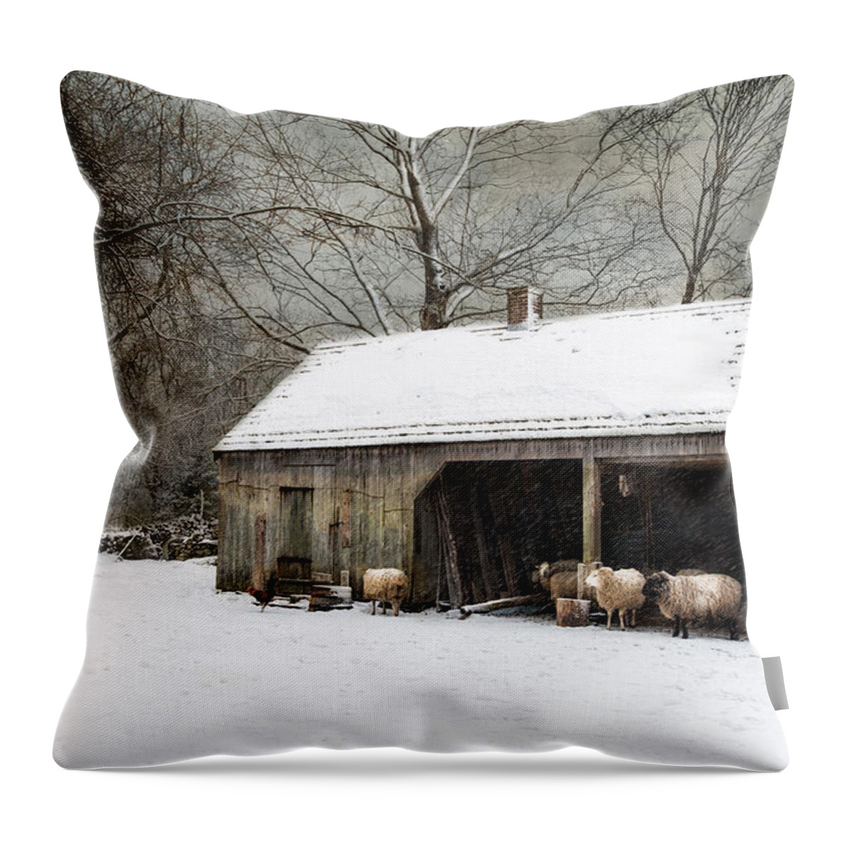 Sheep Throw Pillow featuring the photograph Winter Woolens by Robin-Lee Vieira