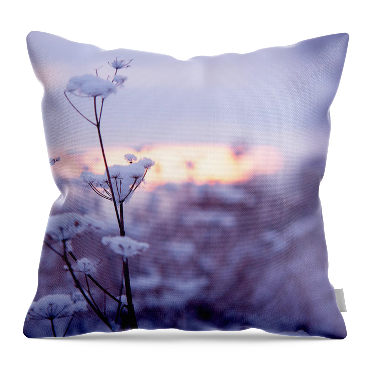 Winter Throw Pillow featuring the photograph Winter Zen by Jenny Rainbow