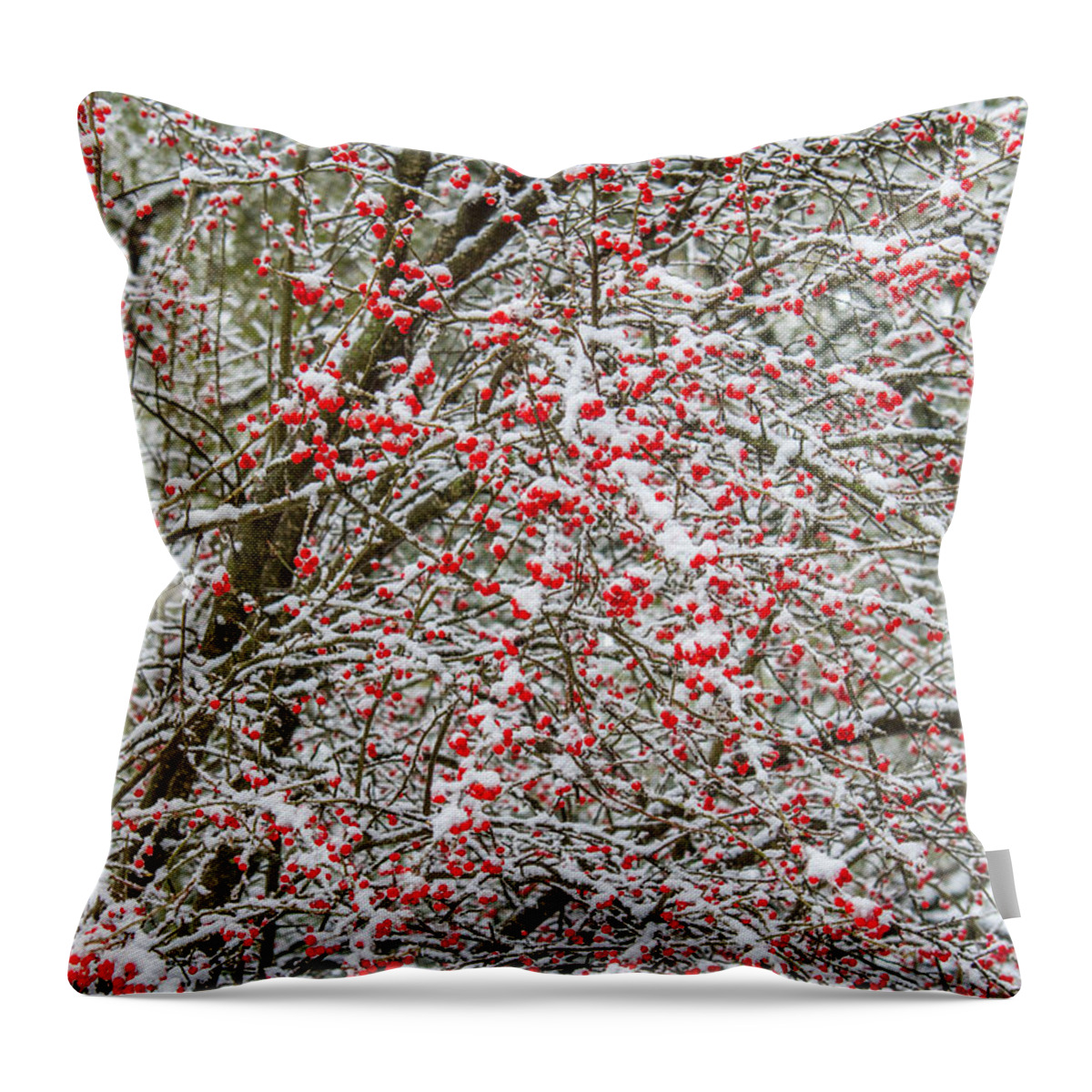 Winterberry Throw Pillow featuring the photograph Winterberry During a Snowfall by Steven Schwartzman