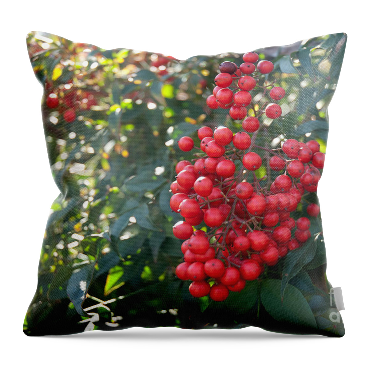 Red Berries Throw Pillow featuring the photograph Winter's Berries by Lena Wilhite