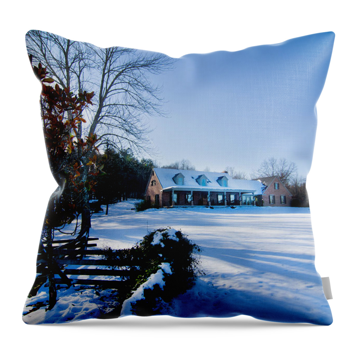 Winters Day Five Throw Pillow featuring the photograph Winters Day Five by Randall Branham