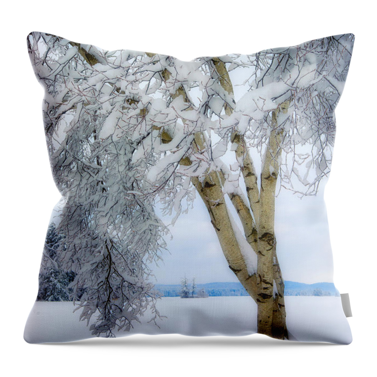 Winter Throw Pillow featuring the photograph Winter's Dream by Darylann Leonard Photography