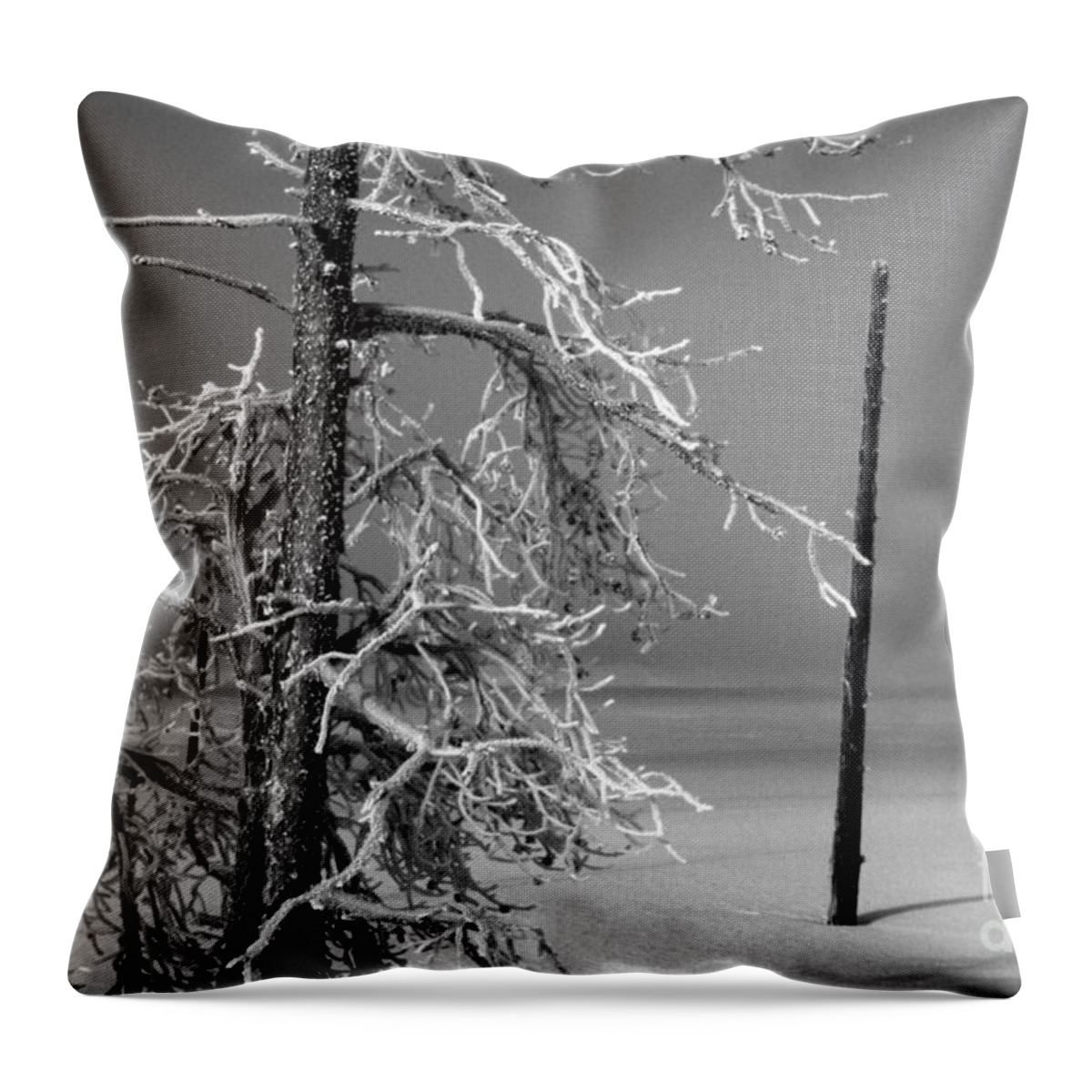 Winter Throw Pillow featuring the photograph Winter's Icy Fingers by Edward R Wisell