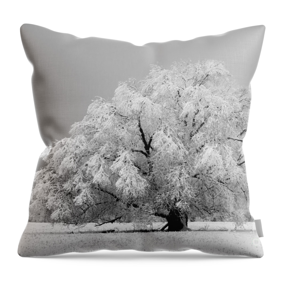 Tree Throw Pillow featuring the photograph Winter's majesty II by Lori Dobbs