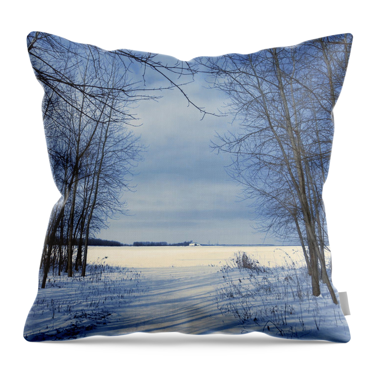 Snow Throw Pillow featuring the photograph Wintertime at Sheldon Marsh by Shawna Rowe