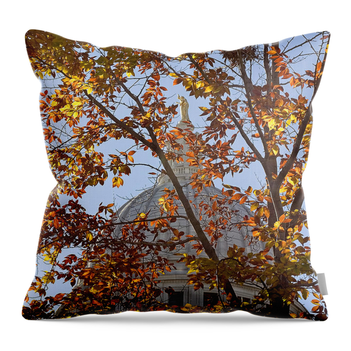 Capitol Throw Pillow featuring the photograph Wisconsin Capitol by Steven Ralser