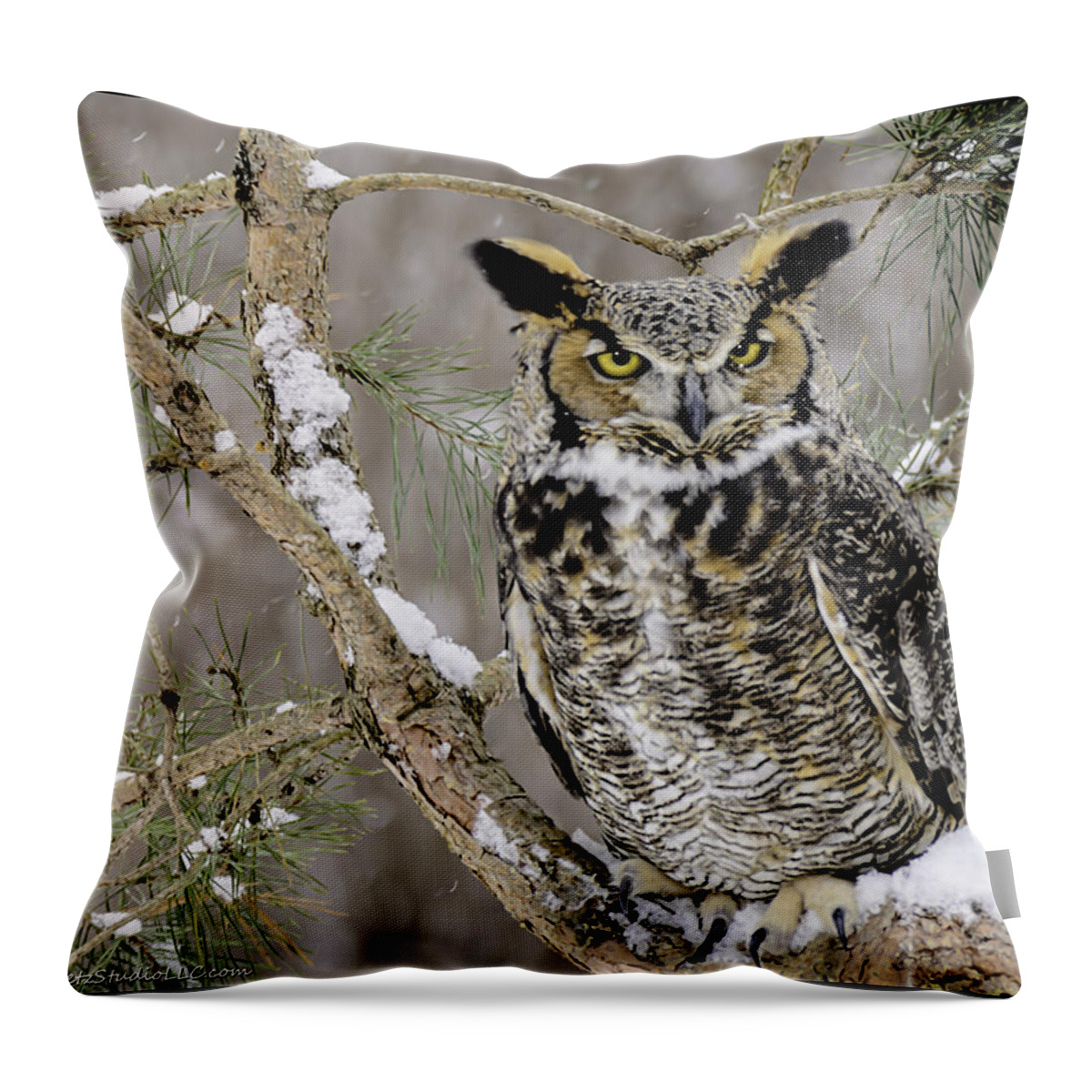 Great Throw Pillow featuring the photograph Wise Old Great Horned Owl by LeeAnn McLaneGoetz McLaneGoetzStudioLLCcom