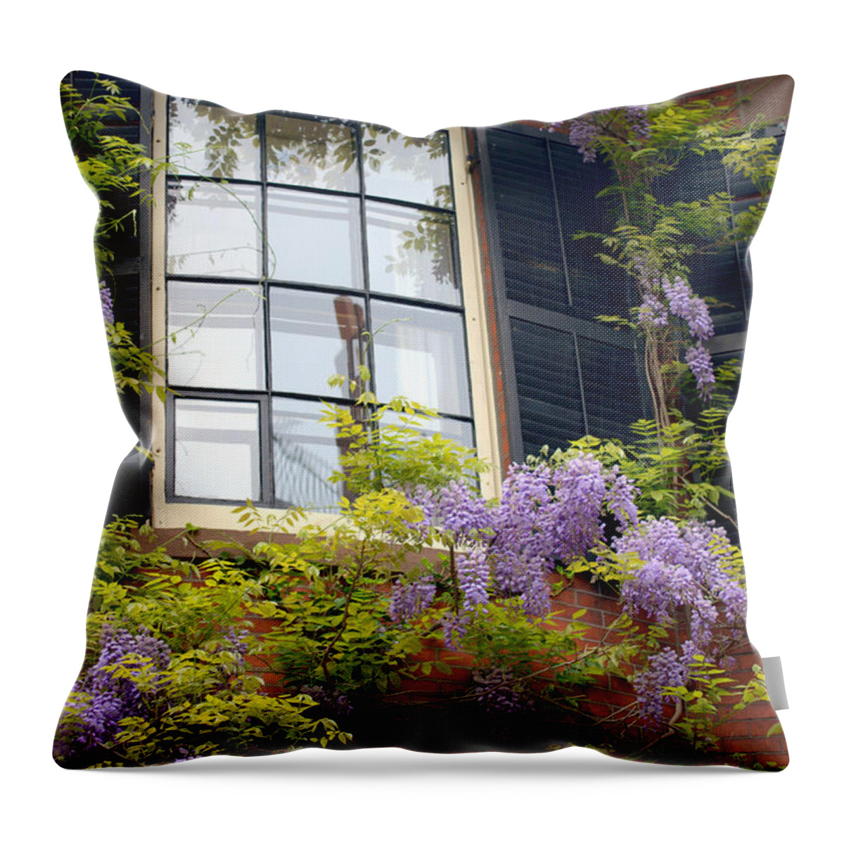 Boston Throw Pillow featuring the photograph Wisteria and Window by Caroline Stella