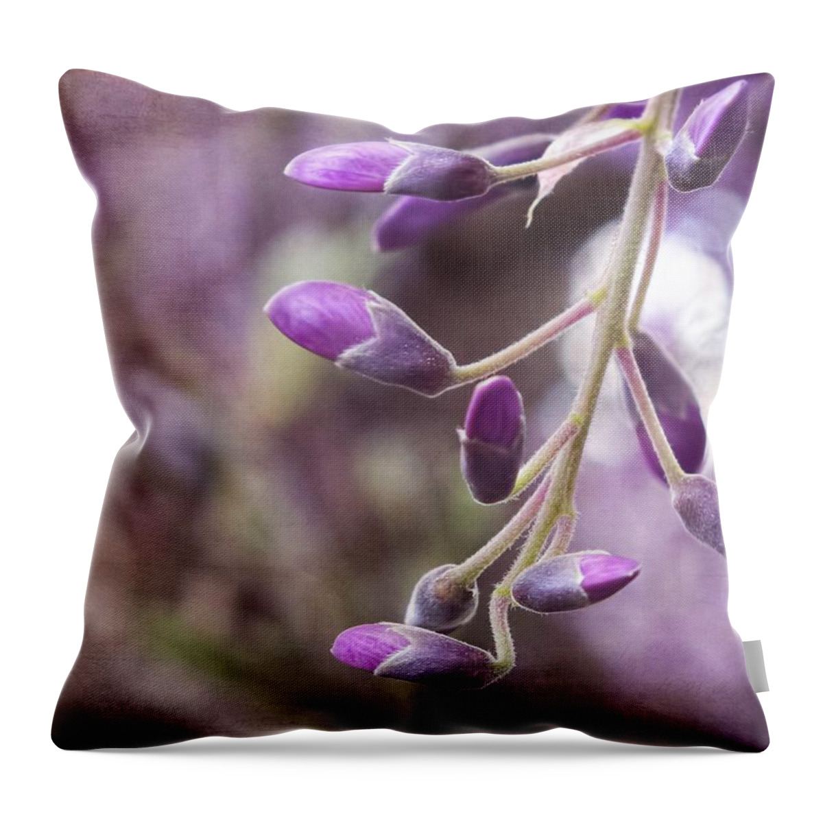 Wisteria Throw Pillow featuring the photograph Wisteria Beginnings by Melissa Bittinger