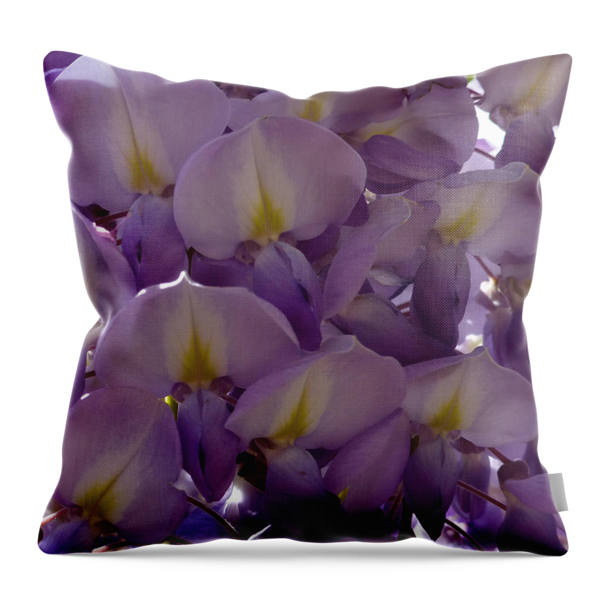Purple Throw Pillow featuring the photograph Wisteria Hysteria by Claudia Goodell