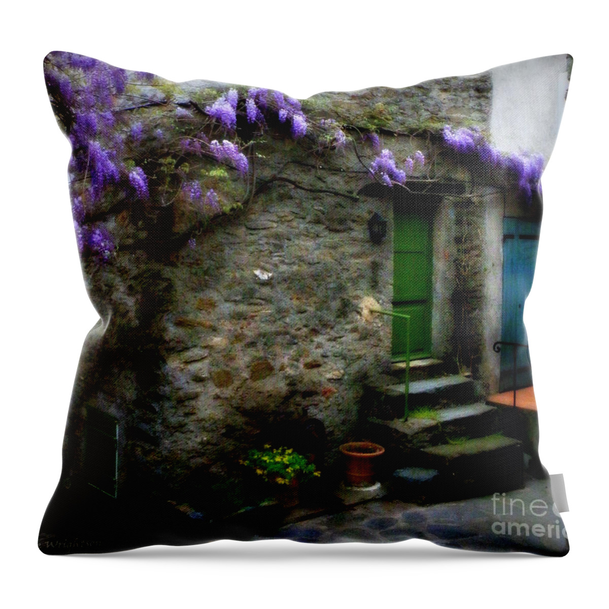 Wisteria Throw Pillow featuring the photograph Wisteria on Stone House by Lainie Wrightson