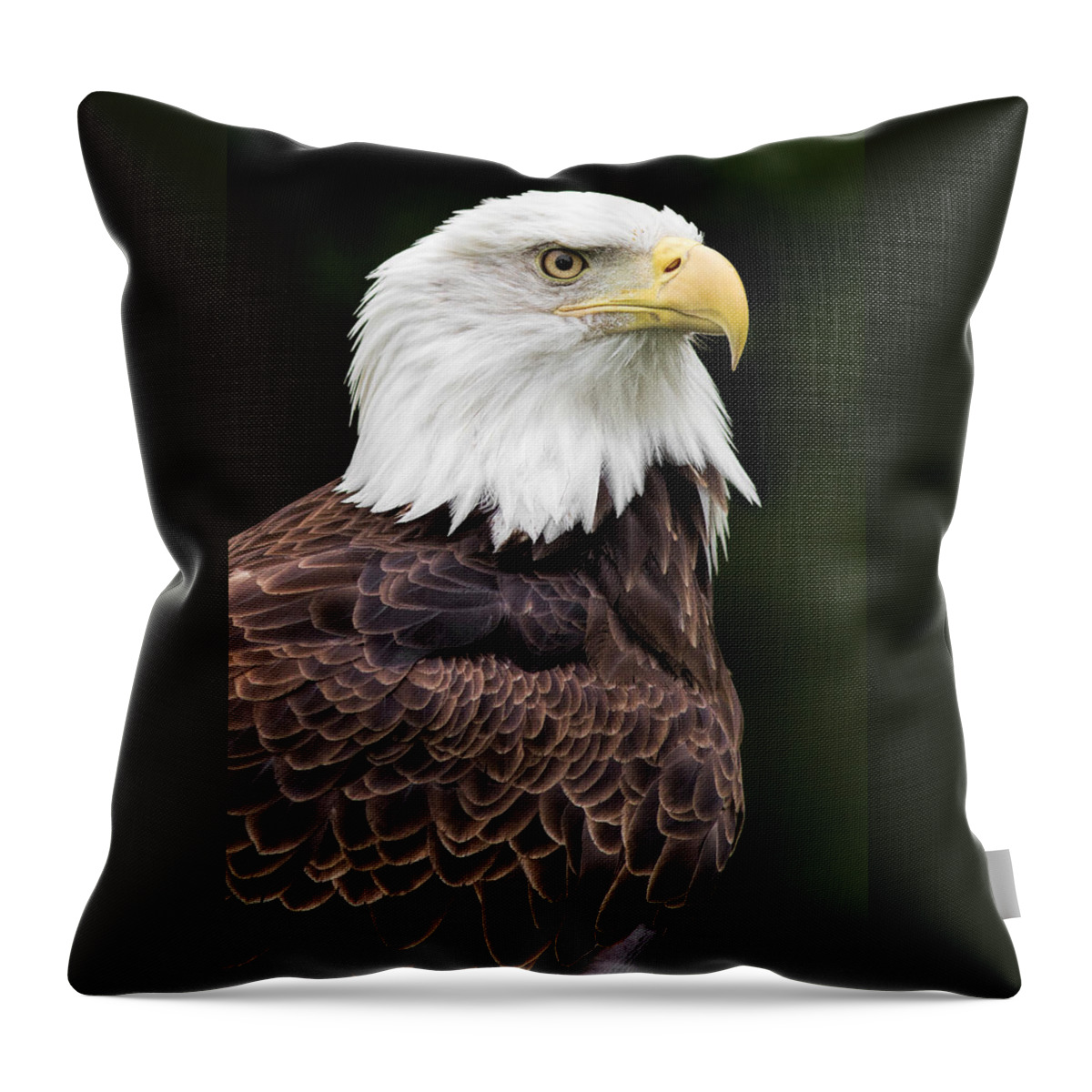 Bald Eagle Throw Pillow featuring the photograph With Dignity by Dale Kincaid