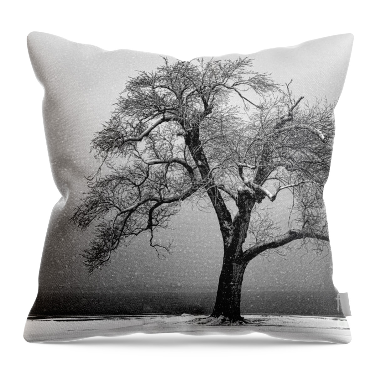 Tree Throw Pillow featuring the photograph Withstanding by Betty LaRue