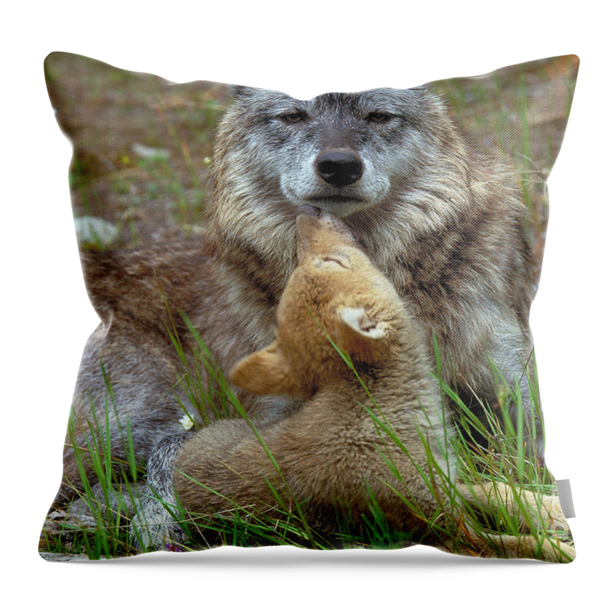 Wolf Throw Pillow featuring the photograph Wolf Mother And Pups by Art Wolfe