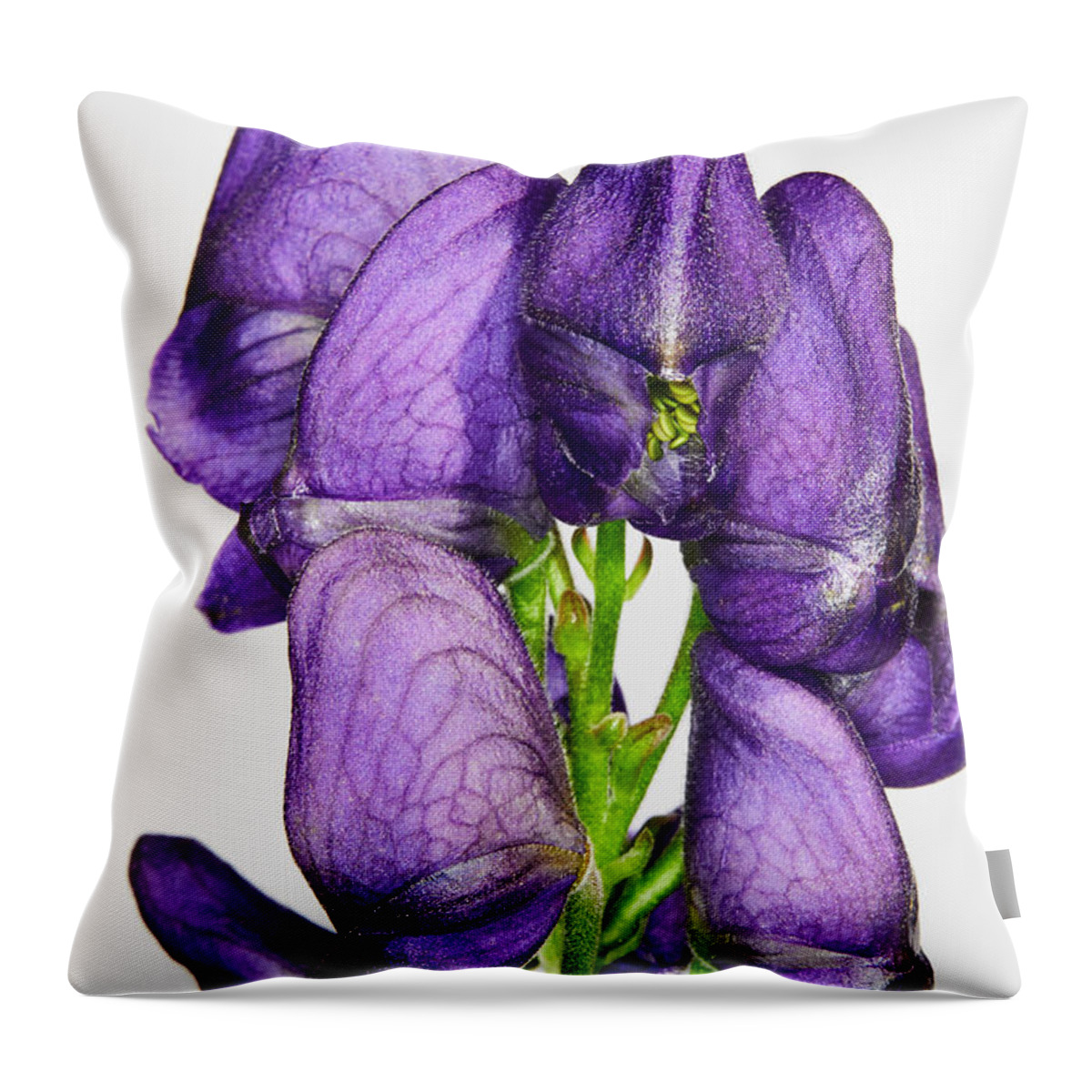 Flower Throw Pillow featuring the photograph Wolf's bane flower buds by Nick Biemans