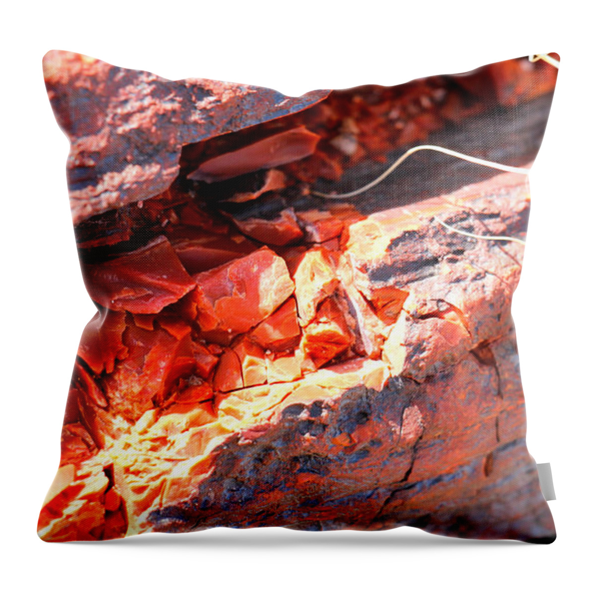 Petrified Throw Pillow featuring the photograph Wood Chips by Shawn MacMeekin