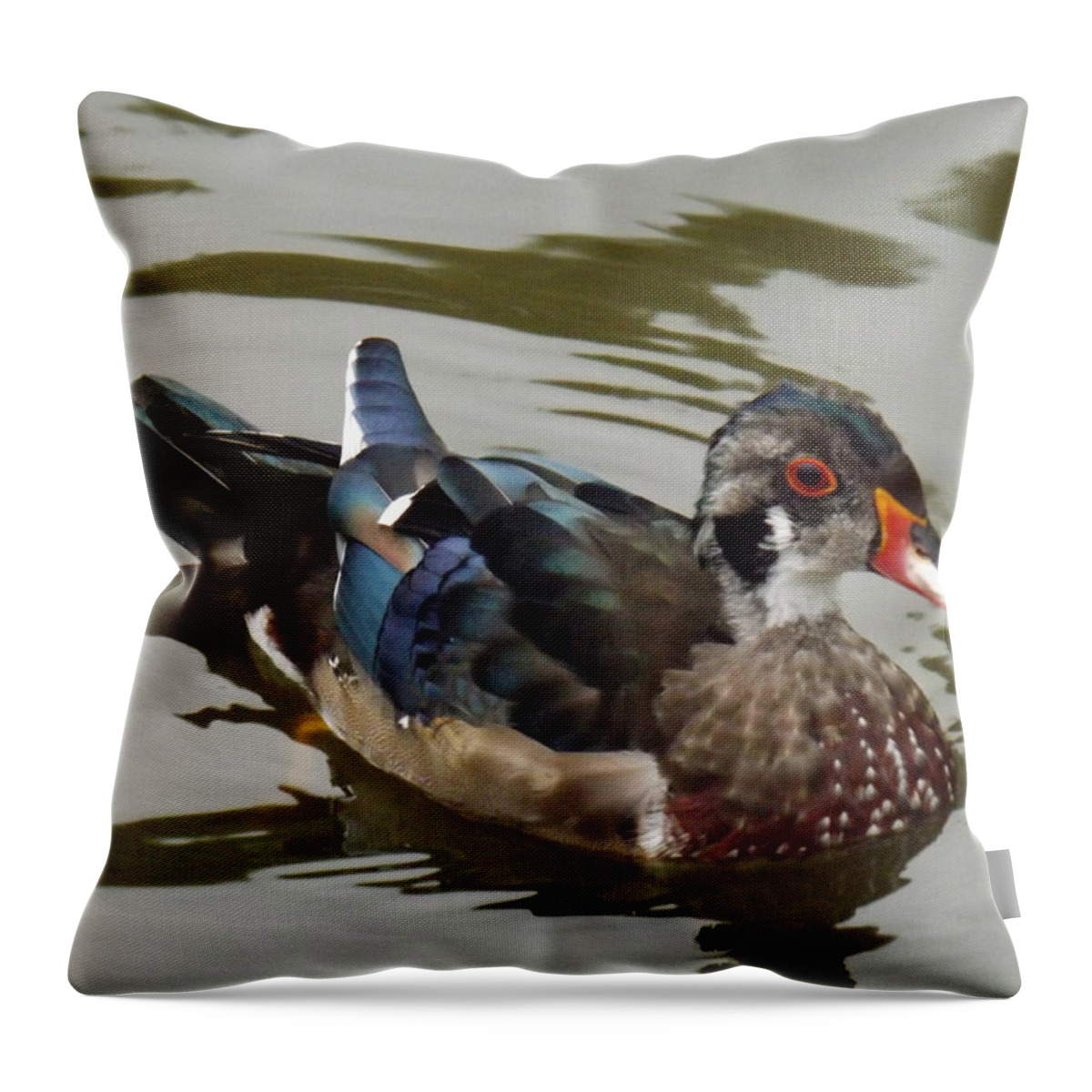 Duck Throw Pillow featuring the photograph Wood Duck by Brenda Brown