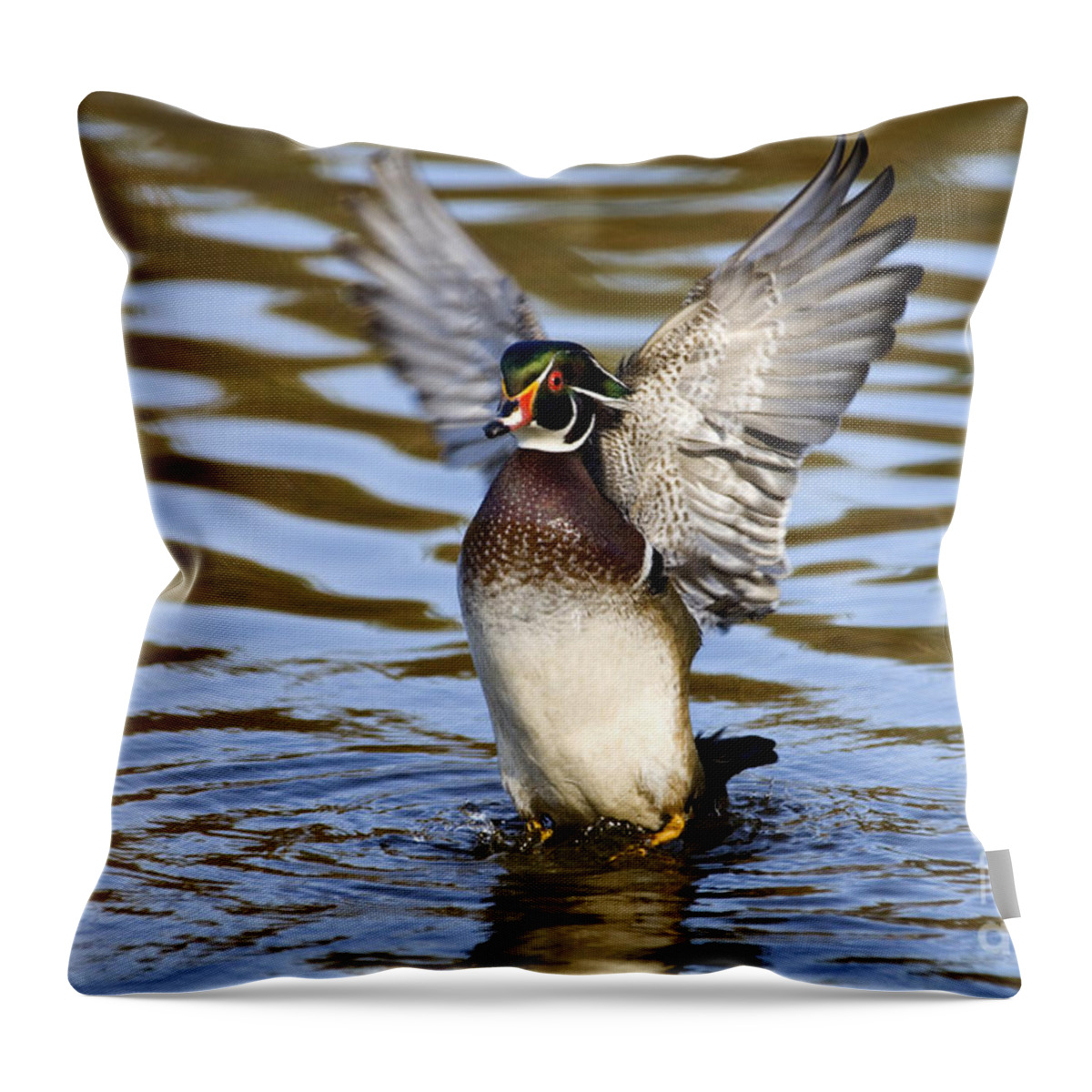 Wood Throw Pillow featuring the photograph Wood Duck - D008936a by Daniel Dempster
