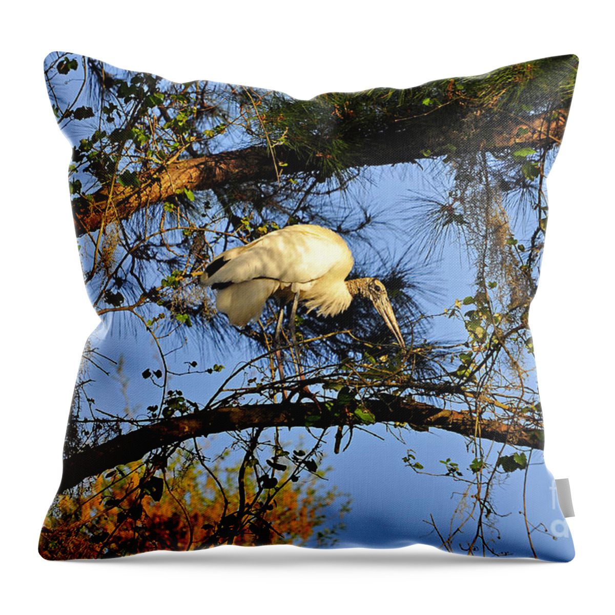 Stork Throw Pillow featuring the photograph Wood Stork Perch by Al Powell Photography USA
