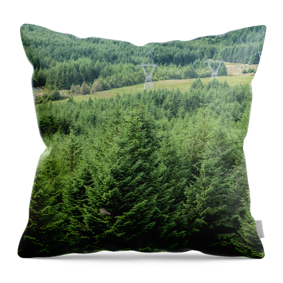 Scenics Throw Pillow featuring the photograph Woodland And Technology by Leverstock