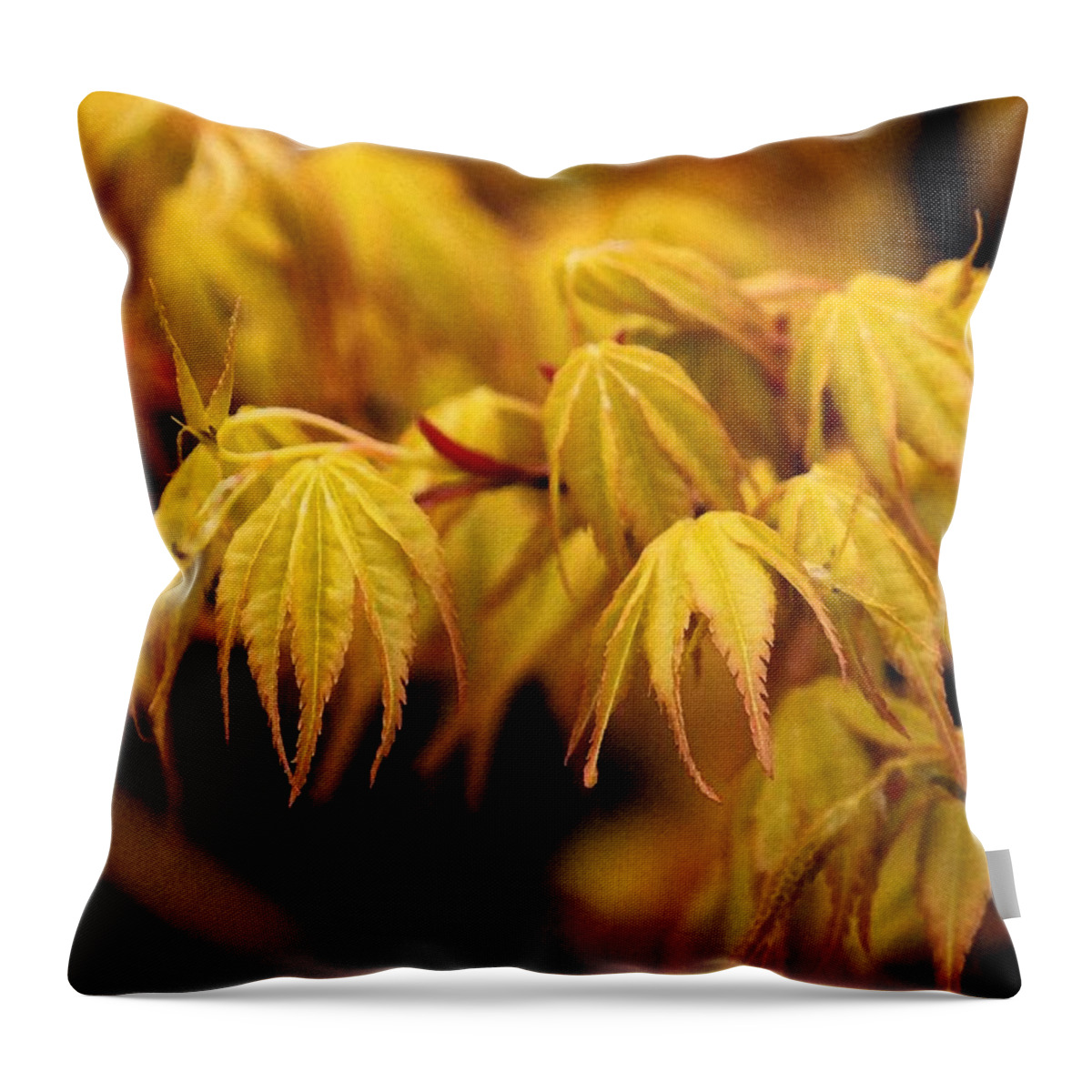 Woods Throw Pillow featuring the photograph Woodland Awakening by Carolyn Jacob