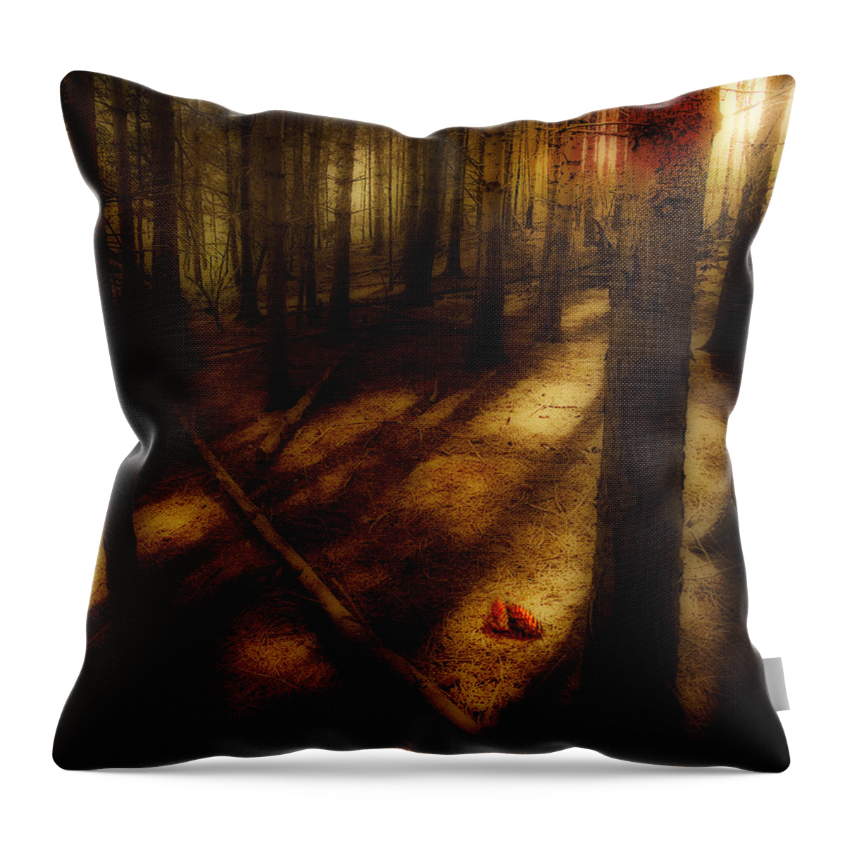 Woods Throw Pillow featuring the photograph Woods With Pine Cones by Meirion Matthias