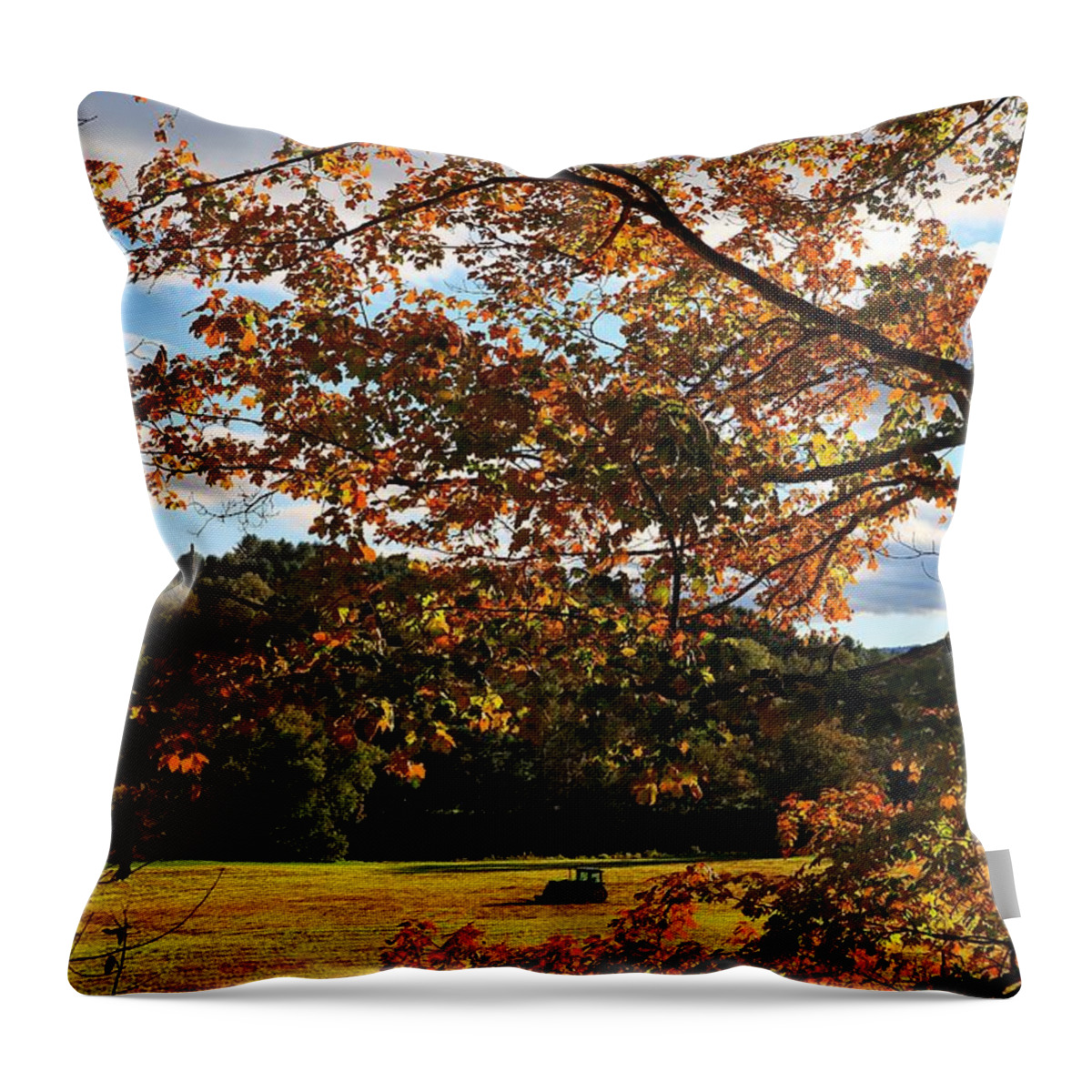 Vermont Throw Pillow featuring the photograph Woodstock Vermont by Edward Fielding