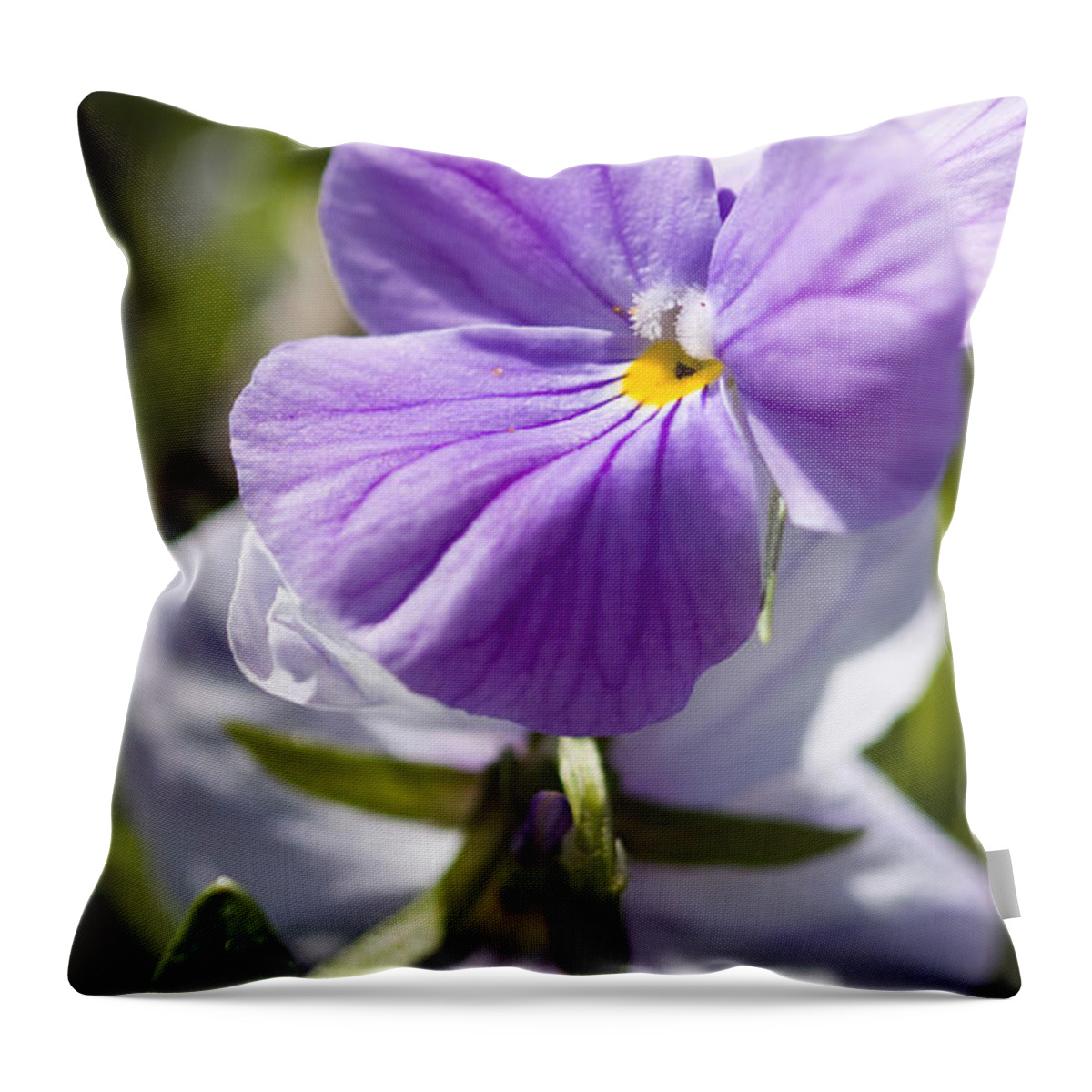 Rose Photographs Throw Pillow featuring the photograph Woodward Pansy by Vernis Maxwell