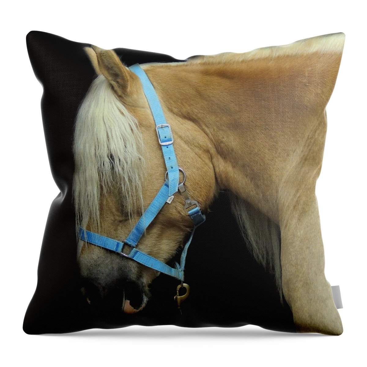 Work Horse Throw Pillow featuring the photograph Work Horse by Mim White