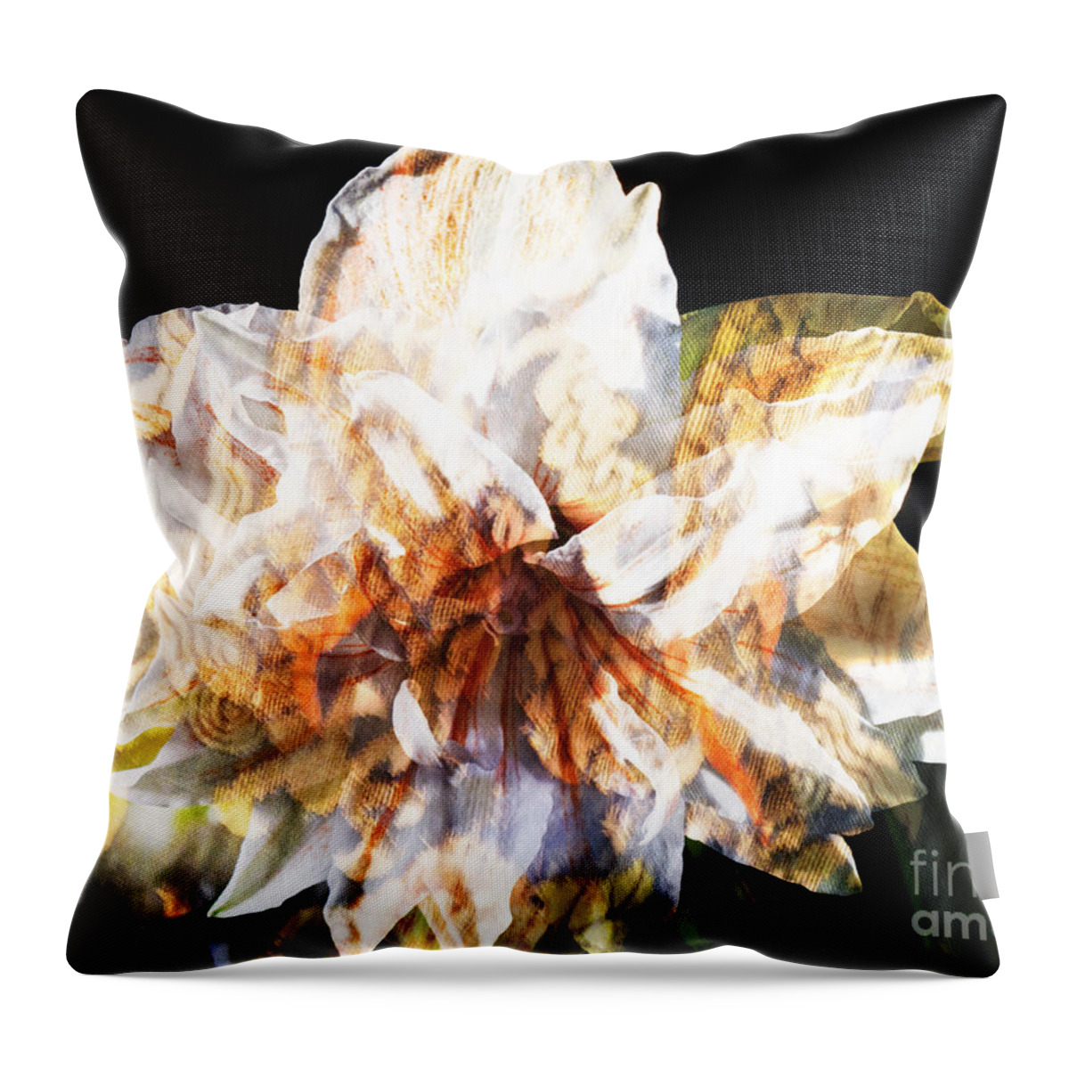 Amaryllis Throw Pillow featuring the photograph World in an Amaryllis Flower by Brenda Kean