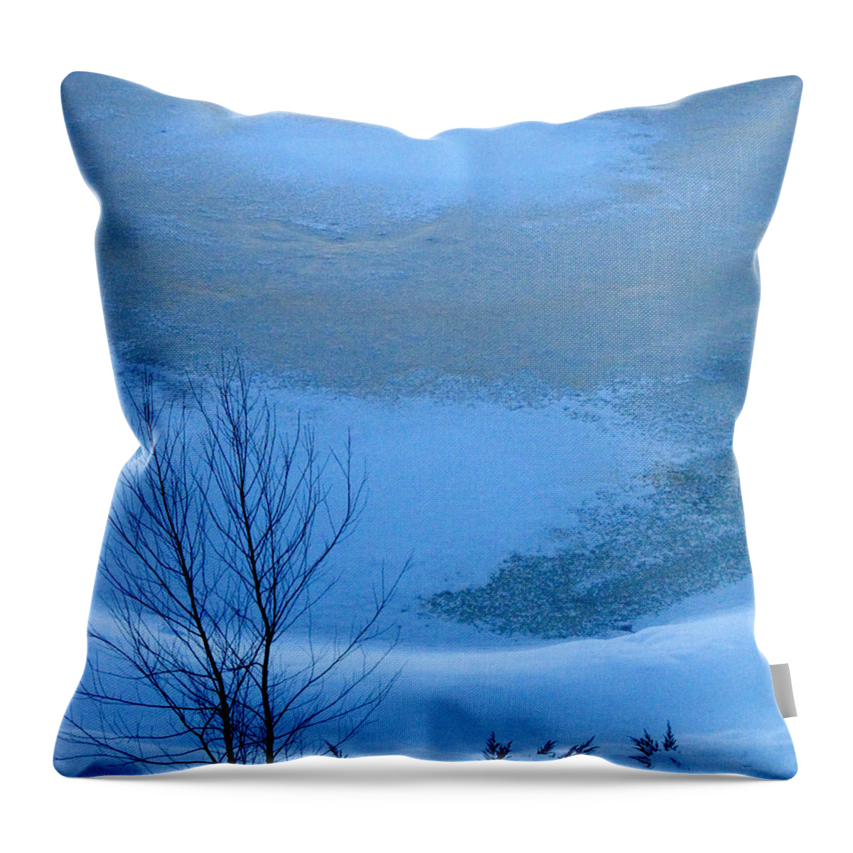 Photograph Throw Pillow featuring the photograph World of Ice by George Harth