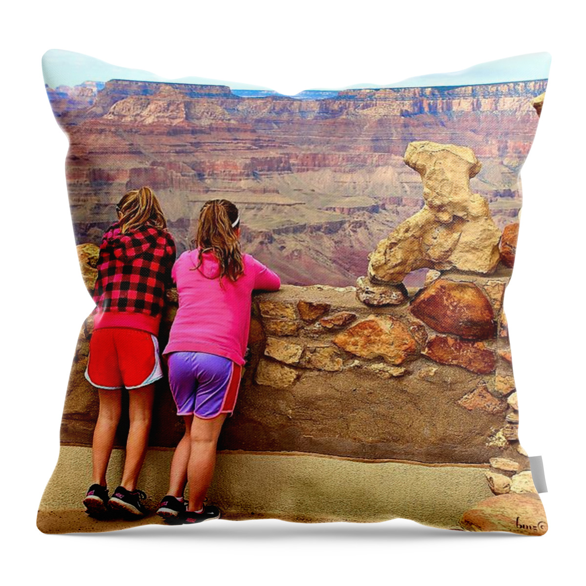 Canyon Throw Pillow featuring the photograph Wow How Impressive by Barbara Zahno