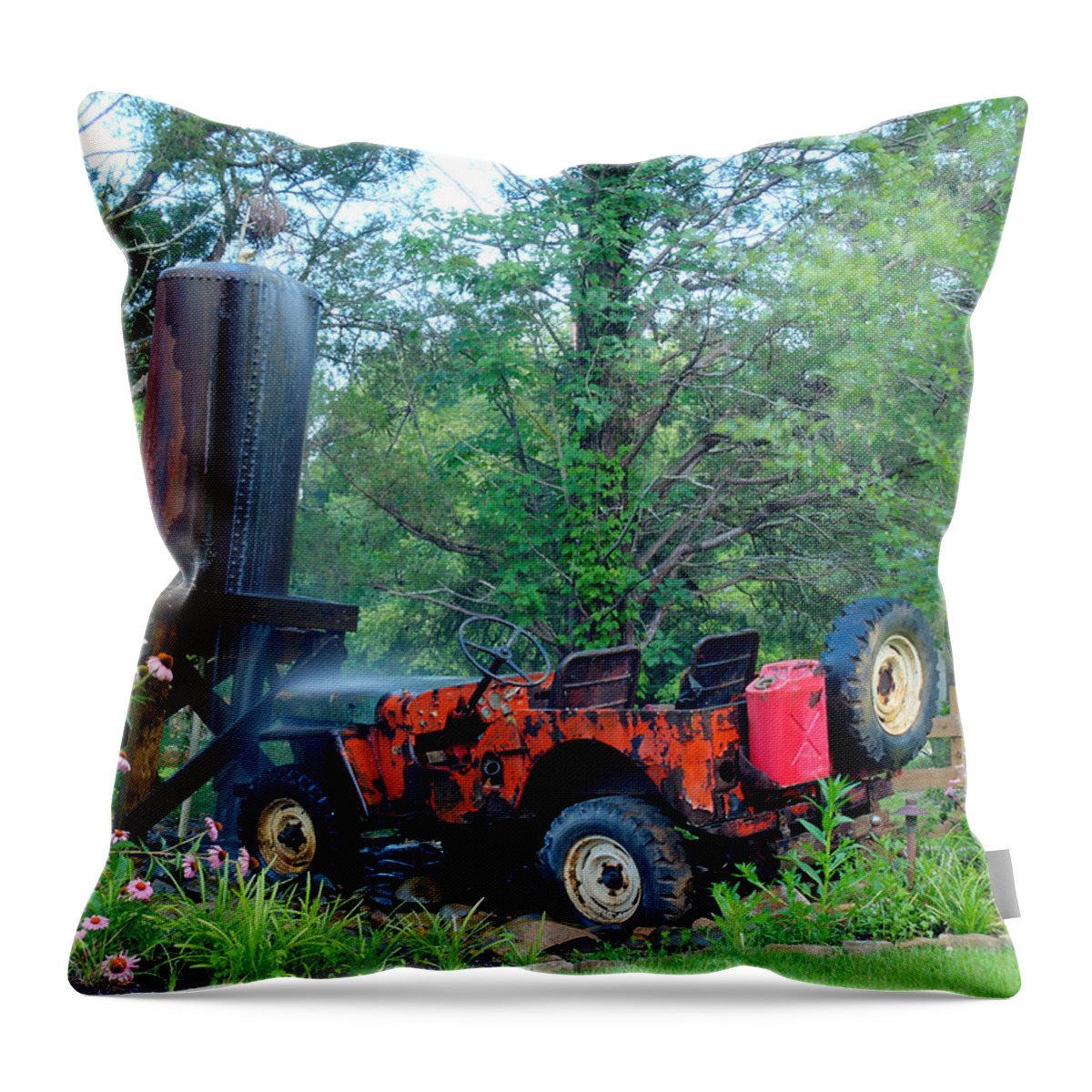 Lexington Throw Pillow featuring the photograph Wrong Turn by Charles Hite