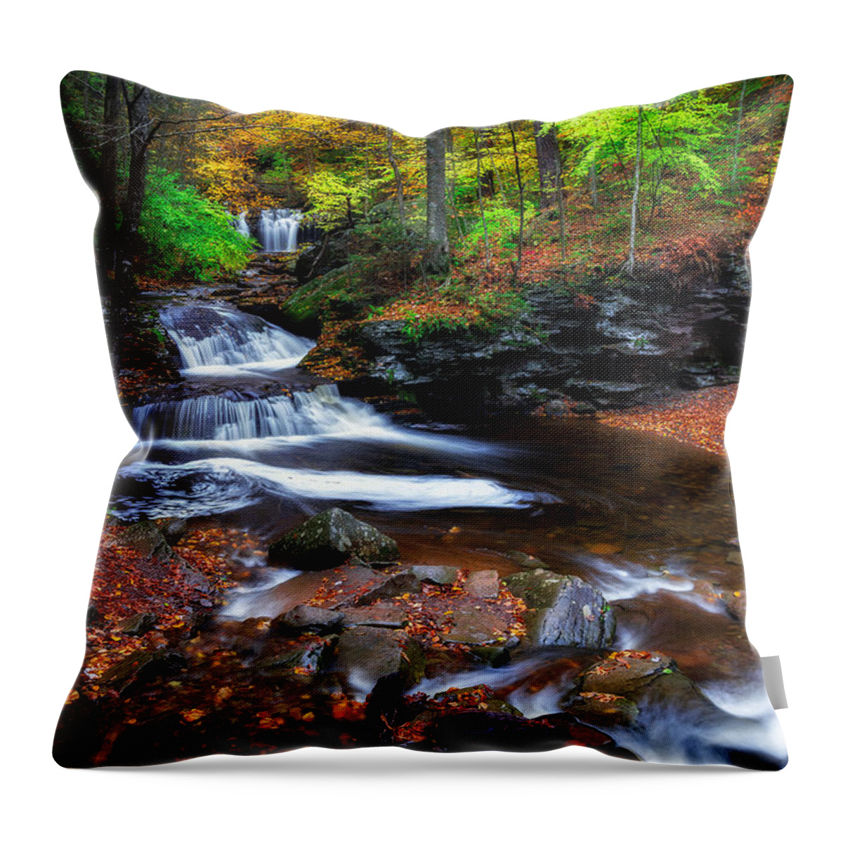 Mark Papke Throw Pillow featuring the photograph Wyandot Falls by Mark Papke